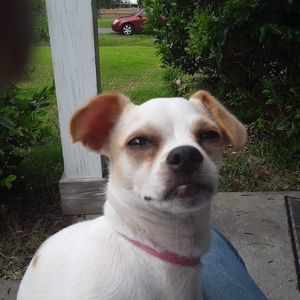 Meet your Posher, Neil